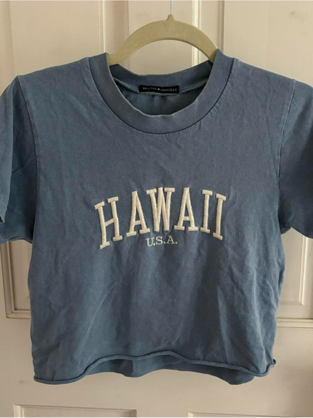 Brandy Melville Cropped Blue Hawaii Top